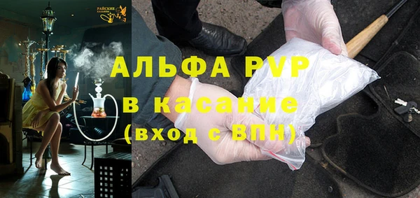 стаф Алзамай