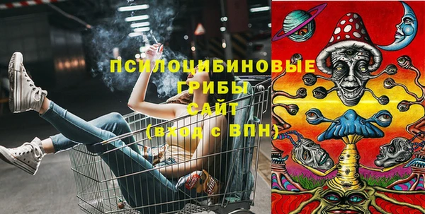 сатива Алексин