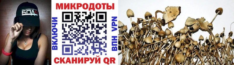 kraken маркетплейс  Терек  Галлюциногенные грибы MAGIC MUSHROOMS  купить закладку 